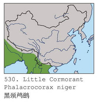 黑颈鸬鹚的地理分布图