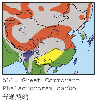 [普通]鸬鹚的地理分布图