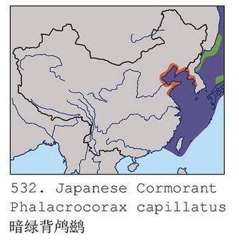 暗绿背鸬鹚的地理分布图