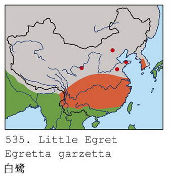 白鹭的地理分布图