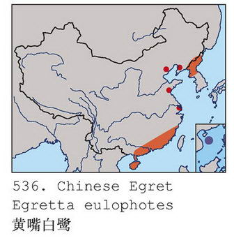 黄嘴白鹭的地理分布图