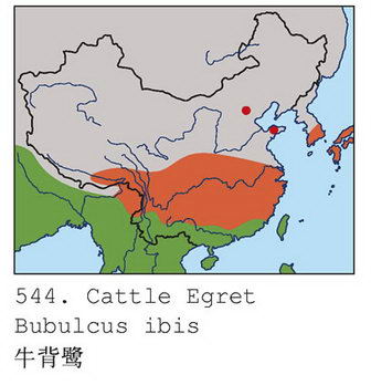 牛背鹭的地理分布图