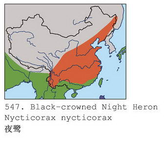 夜鹭的地理分布图