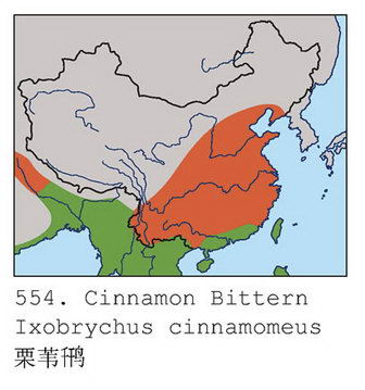 栗苇鳽的地理分布图