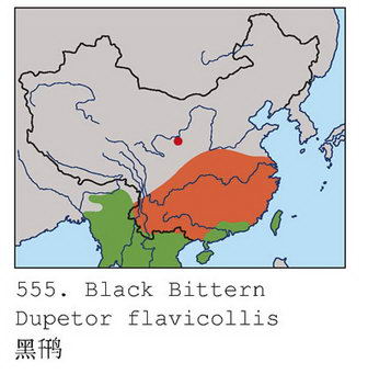 黑鳽的地理分布图