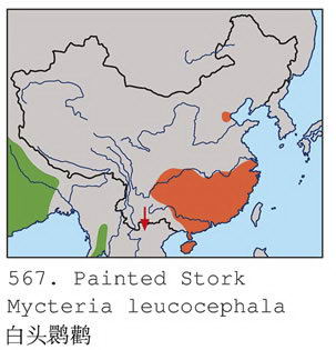 白头鹮鹳的地理分布图