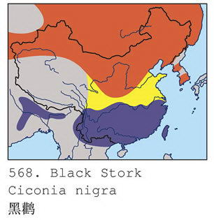 黑鹳的地理分布图