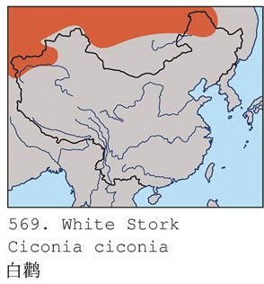 白鹳的地理分布图