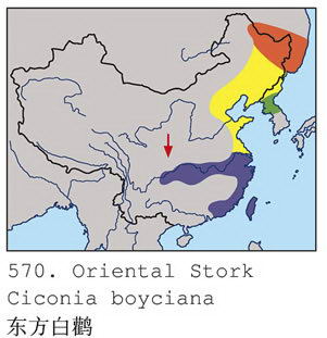 东方白鹳的地理分布图