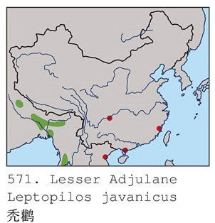 秃鹳的地理分布图