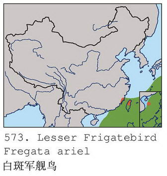 白斑军舰鸟的地理分布图