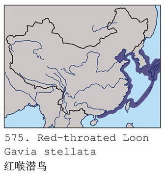 红喉潜鸟的地理分布图