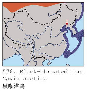 黑喉潜鸟的地理分布图