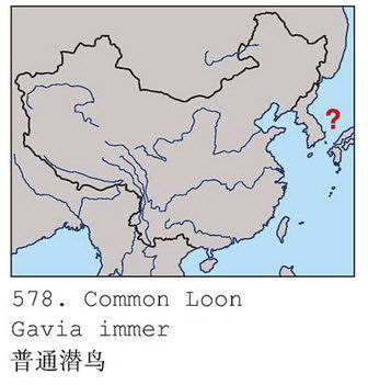 普通潜鸟的地理分布图