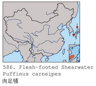 肉足鹱的地理分布图