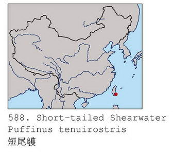 短尾鹱的地理分布图