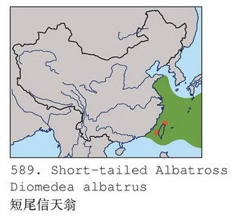 短尾信天翁的地理分布图