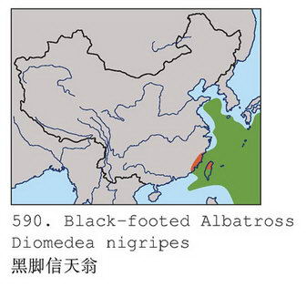 黑脚信天翁的地理分布图