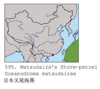 日本叉尾海燕的地理分布图