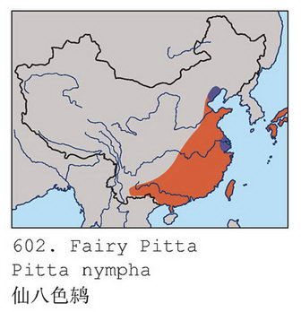 仙八色鸫的地理分布图