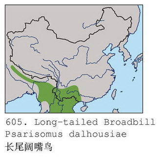 长尾阔嘴鸟的地理分布图