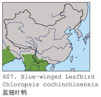 蓝翅叶鹎的地理分布图