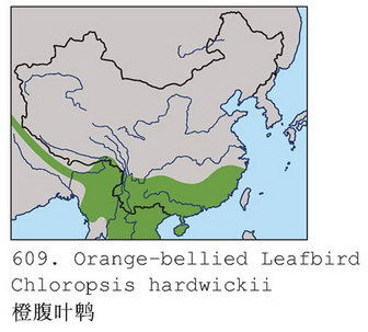 橙腹叶鹎的地理分布图