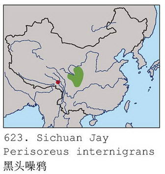 黑头噪鸦的地理分布图