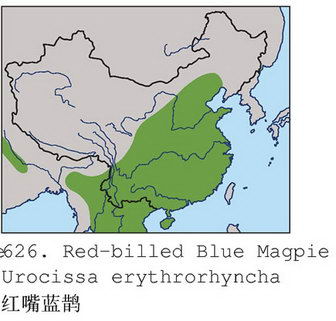 红嘴蓝鹊的地理分布图