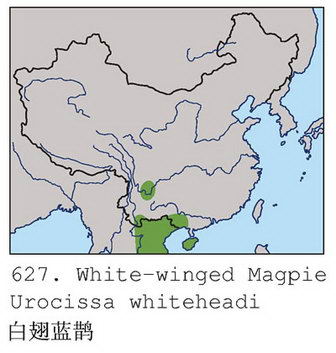 白翅蓝鹊的地理分布图