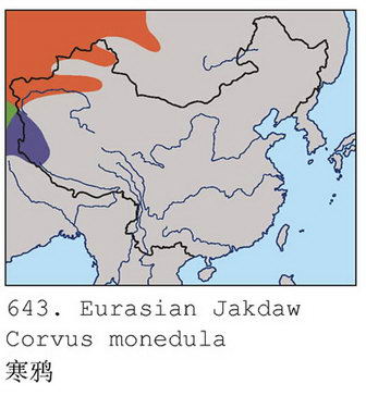 寒鸦的地理分布图