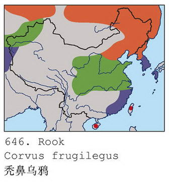 秃鼻乌鸦的地理分布图