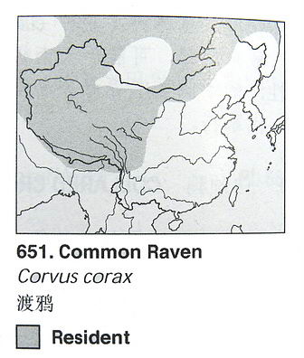 渡鸦的地理分布图