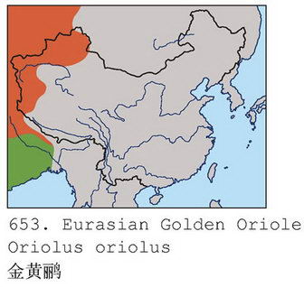 金黄鹂的地理分布图