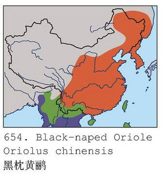 黑枕黄鹂的地理分布图