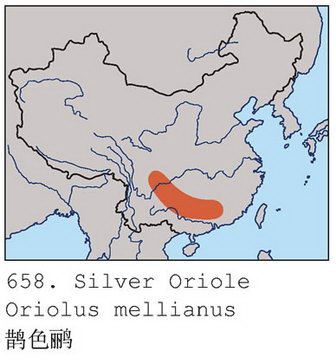 鹊色鹂的地理分布图