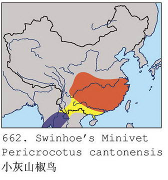 小灰山椒鸟的地理分布图