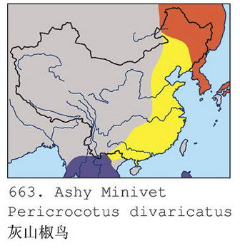 灰山椒鸟的地理分布图