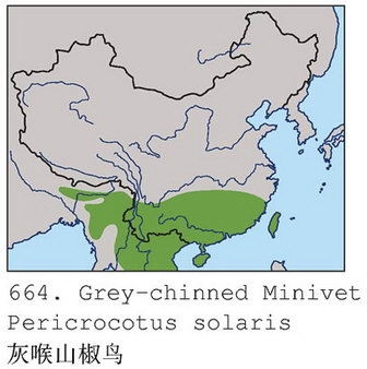 灰喉山椒鸟的地理分布图