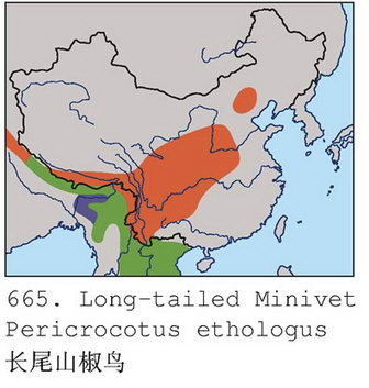 长尾山椒鸟的地理分布图
