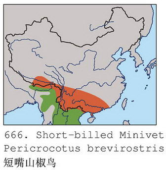 短嘴山椒鸟的地理分布图