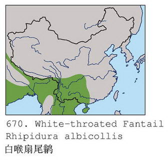 白喉扇尾鹟的地理分布图