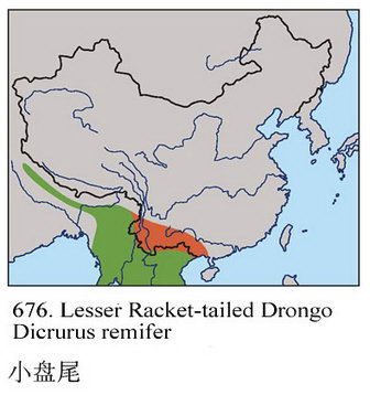 小盘尾的地理分布图