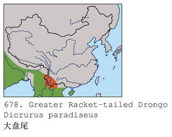 大盘尾的地理分布图