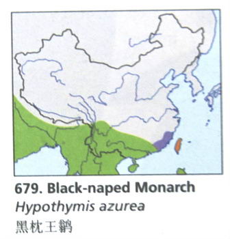 黑枕王鹟的地理分布图