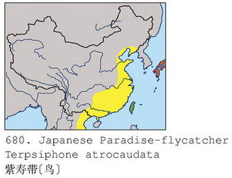 紫寿带[鸟]的地理分布图