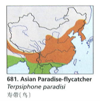 寿带[鸟]的地理分布图