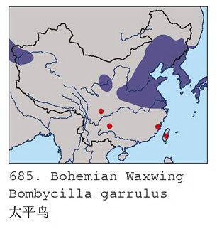 太平鸟的地理分布图