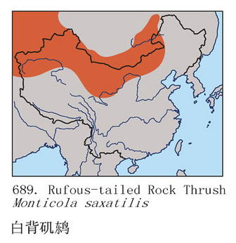 白背矶鸫的地理分布图