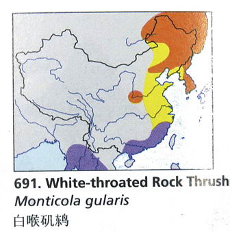 白喉矶鸫的地理分布图